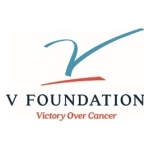 v_foundation_correct_logo.jpg