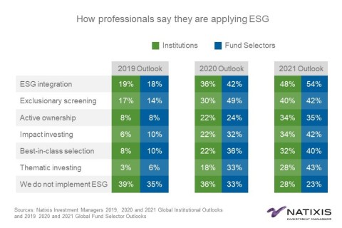 How professionals say they are applying ESG (Graphic: Business Wire)