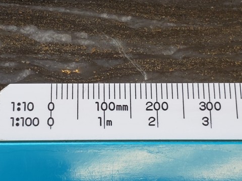 Figure 2: Photograph of visible gold in a channel sample from the Toussaint Showing (Source: Cartier Resources)