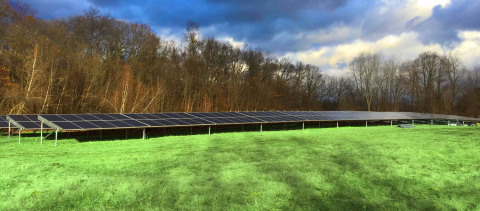 Solar panels near Monsignor Bojnowski Manor at Daughters of Mary campus. (Photo: Business Wire)
