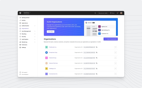 original Auth0 Organizations (Graphic: Business Wire)