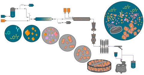 gPROMS FormulatedProducts 2.0 is a mechanistic model-based environment for integrated digital design of robust formulated products and their manufacturing processes, and related digital process operation. It is used in the pharmaceuticals, food & beverage and FMCG sectors for active ingredient manufacture, formulation manufacture, product performance and bioprocessing. (Graphic: Business Wire)