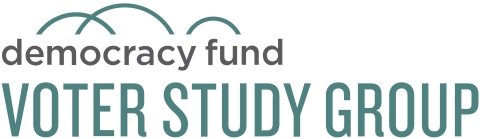 Democracy Fund Voter Study Group Logo