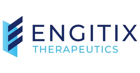 Engitix Logo