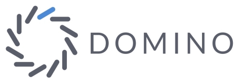 Domino Data Lab Logo