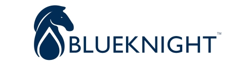 Blueknight Energy Partners, L.P. Logo
