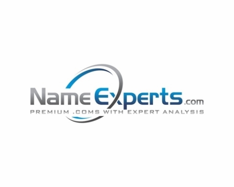 Name Experts LLC. Logo