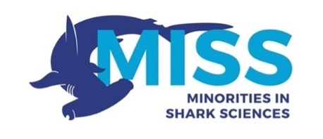 MISS Logo