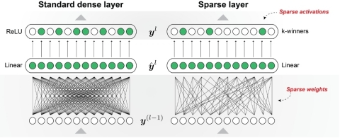 Numenta’s sparse network utilizes highly sparse weights and activations, like in the neocortex. Their sparse-sparse techniques allow for extreme activation sparsity while maintaining model accuracy. (Graphic: Business Wire)