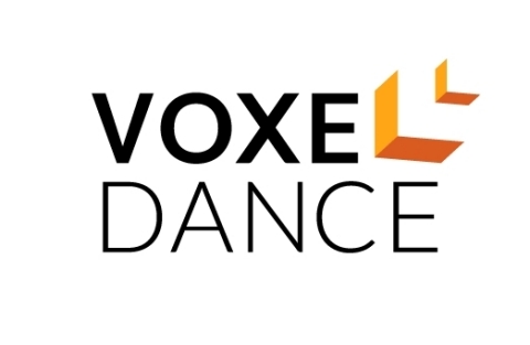 Voxeldance Logo