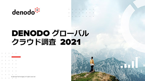 Denodo Global Cloud Survey in Charts