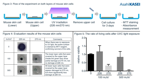 Figure 3, Figure 4, and Figure 5 references in the release that show the experimental flow and the evaluation of the results on animal skin cells. (Graphic: Business Wire)