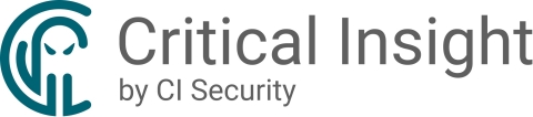 Critical Insight Logo