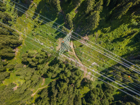 LiveEO is monitoring overhead lines for exposure to vegetation using satellite data. (Photo: Business Wire)