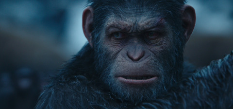 Apes Planet Copyright: © 2017 Twentieth Century Fox Film Corporation (Foto: Commercial Wire)
