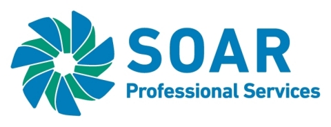 Dillon Consulting Limited Logo