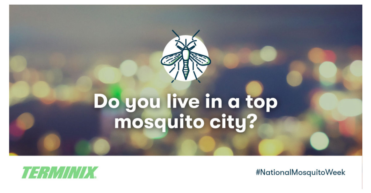 Terminix® Releases Top Mosquito Cities By Consumer Search Trends