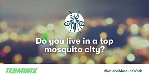 Do you live in a top mosquito city? (Graphic: Business Wire)