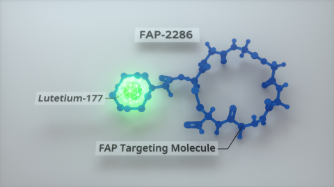 Clovis Oncology is exploring FAP-2286 linked to Lutetium-177 as a therapeutic agent (Graphic: Business Wire)