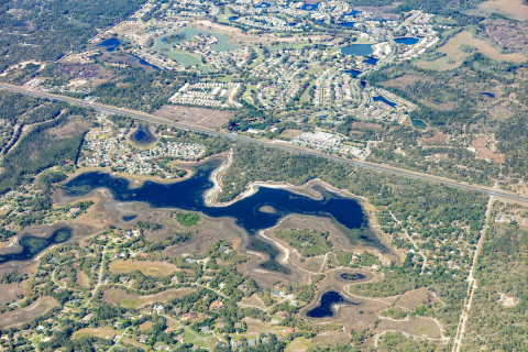 thumbnail Photo Credit: Walton