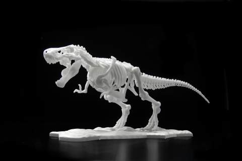 Dinosaur Skeleton Plastic Model Tyrannosaurus (Photo: Business Wire)