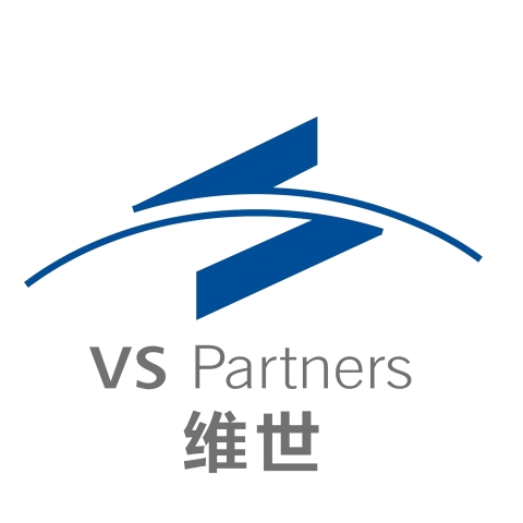 VS Partners Logo