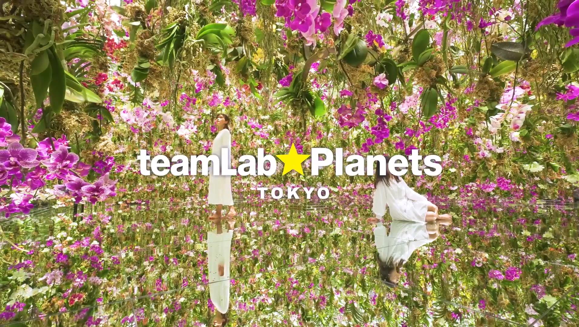 teamLab, Exhibition view of teamLab Planets, 2018, Toyosu, Tokyo © teamLab