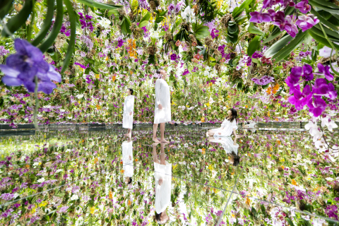 thumbnail teamLab, 2015, Interactive Kinetic Installation, Endless, Sound: Hideaki Takahashi （写真：ビジネスワイヤ）