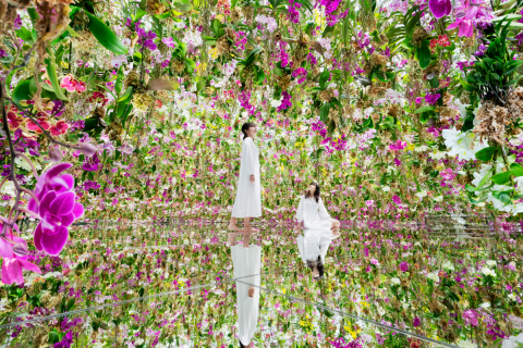 original 
teamLab, 2015, Interactive Kinetic Installation, Endless, Sound: Hideaki Takahashi （写真：ビジネスワイヤ）