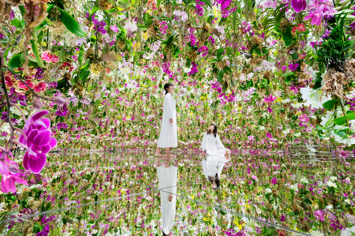 東京 豊洲 チームラボプラネッツ に 新エリア Garden Area が7月2日よりグランドオープン 空中に咲く13 000株のランや苔を使用した 2つの超大型庭園作品が誕生 Business Wire