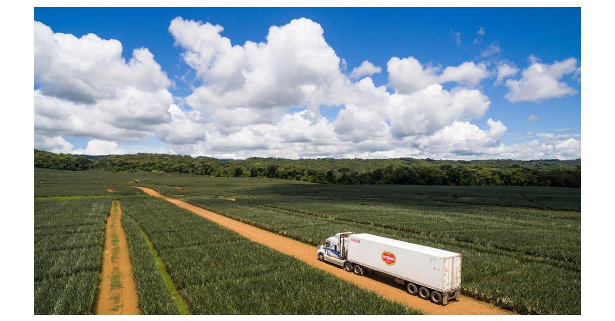 Fresh Del Monte y GIZ fortalecen alianza para promover la sostenibilidad en Costa Rica y Guatemala, con el objetivo de duplicar en otras regiones