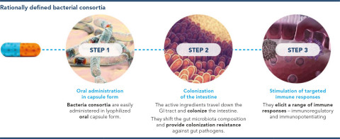 PureTech’s Founded Entity, Vedanta Biosciences, announced additional results from a Phase 1 study in healthy volunteers of VE202, Vedanta’s 16-strain live biotherapeutic product (LBP) candidate for inflammatory bowel disease (IBD). The new data were presented at the International Human Microbiome Consortium Congress 2021 (IHMC). (Photo: Business Wire)