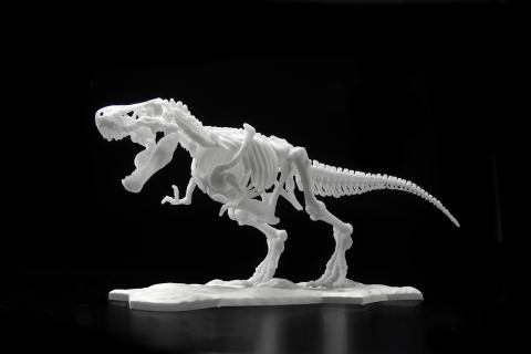 thumbnail Dinosaur Skeleton Plastic Model Tyrannosaurus (Photo: Business Wire)