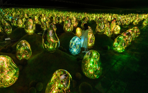 teamLab, 2020, Interactive Digital Installation, Endless, Sound: Hideaki Takahashi (Photo: Business Wire)