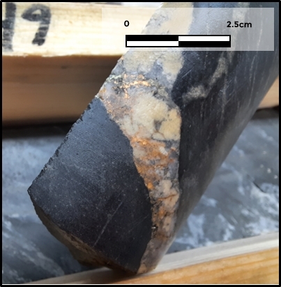 Figure 3. Visible gold in hole 121049 (232m) (Photo: Business Wire)