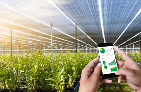With the program's ninth cohort, the Wells Fargo Innovation Incubator is validating technologies that make indoor agriculture more sustainable. (Photo: Donald Danforth Plant Science Center)