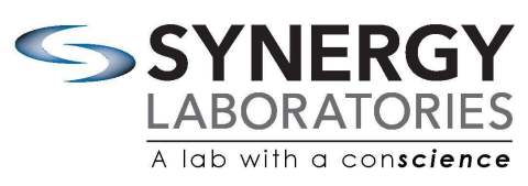 Synergy Laboratories Logo