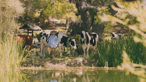 Celebrating Cottage Living with an IRL "Moo"-Sic Video (Photo: Business Wire)