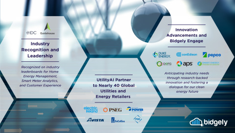 Bidgely expanded worldwide with seven new global customers, including Ireland's largest energy provider Electric Ireland, in the first half of 2021, as well as launched a new data insights integration on the Salesforce AppExchange. (Graphic: Business Wire)