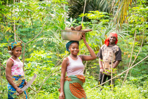 Favour ThankGod and her siblings harvest cassava from their farm located at Ohumere village in Agbor, Delta State in Nigeria. (Photo: Business Wire)