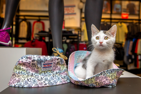 A MeoowzResQ kitten at a Skechers adoption event in California during National Foster a Pet Month. Through its partnerships with Petco Love and animal welfare organizations, Skechers has donated over $7 million, promoted pet adoptions and raised funds in stores – helping to save and support over 1.3 million shelter pets in the United States and Canada. (Photo credit: Lori Fusaro for BOBS from Skechers + Petco Love)