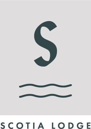 Humboldt Social Logo