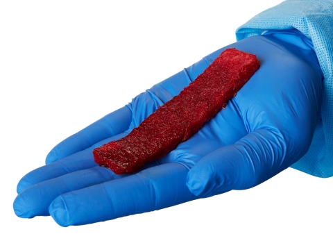 Image of the Orthofix fiberFUSE™ Strip, an advanced demineralized fiber bone-graft solution containing cancellous bone. (Photo: Business Wire)