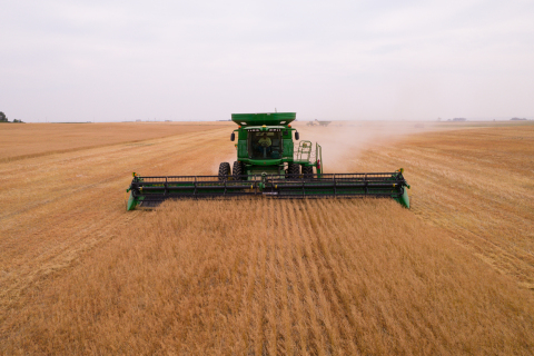 GCEH 2021 Montana Camelina harvesting (Photo: Business Wire)