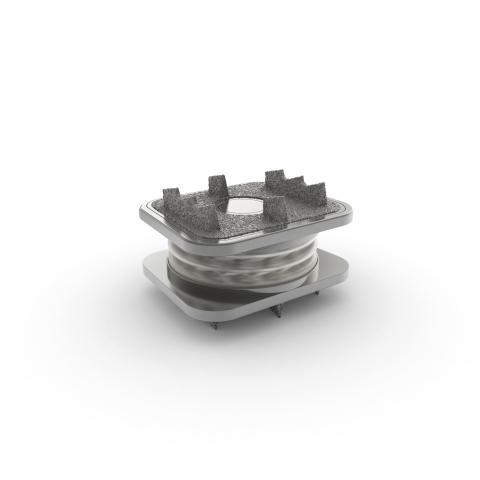 Image of the Orthofix M6-C™ artificial cervical disc (Photo: Business Wire)