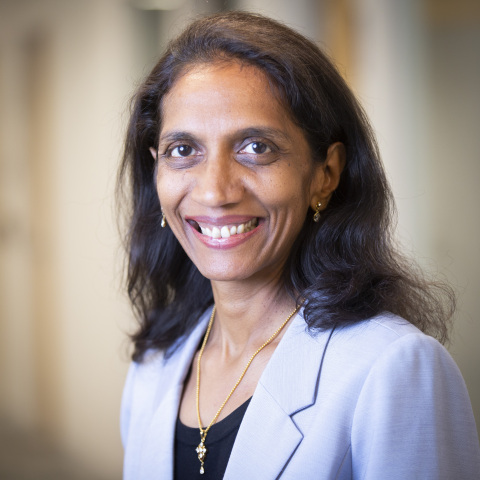 Rheos COO Niru Subramanian (Photo: Business Wire)