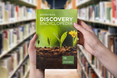 Discovery Encyclopedia Cover (Photo: Business Wire)