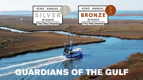 thumbnail Guardians of the Gulf, an eye-opening documentary that explores the tumultuous relationship between the Gulf of Mexico and the conservationists determined to protect it, received 2 Telly Awards. (Graphic: Mary Kay Inc.)