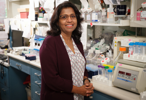 Sangeeta S. Chavan, PhD, professor in the Institute of Bioelectronic Medicine at the Feinstein Institutes. (Credit: The Feinstein Institutes for Medical Research)