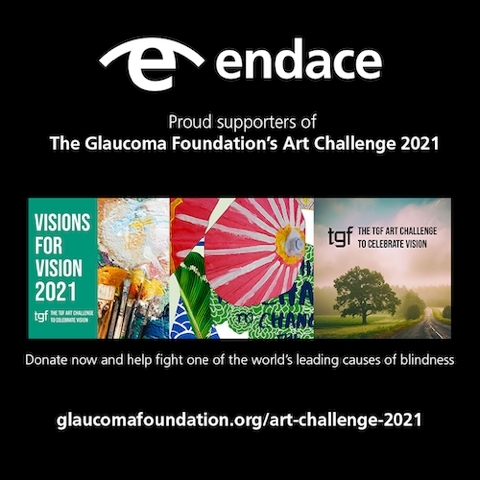 Endace is a proud sponsor of The Glaucoma Foundation's Art Challenge (Graphic: Business Wire)